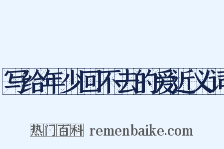 写给年少回不去的爱近义词是什么意思的图片